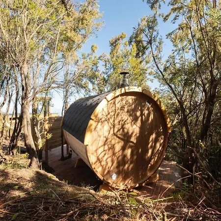 וילה El Pino Centenario 3