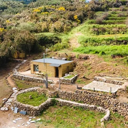 El Pino Centenario 3 *