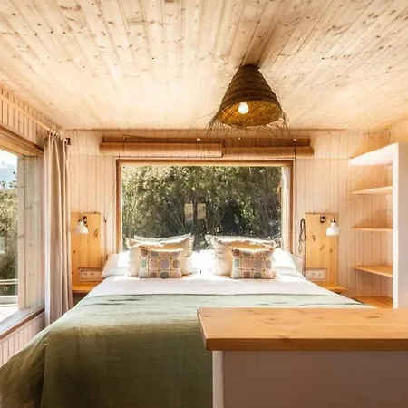 El Pino Centenario 3 ラ・オロタバ