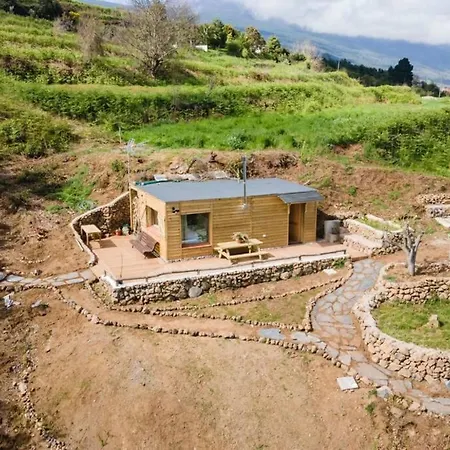 El Pino Centenario 3 *