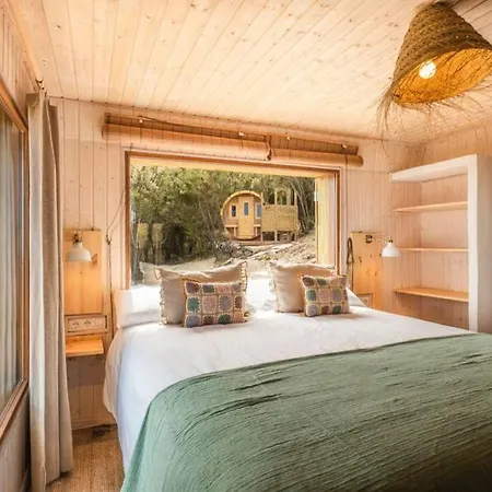 El Pino Centenario 3 *